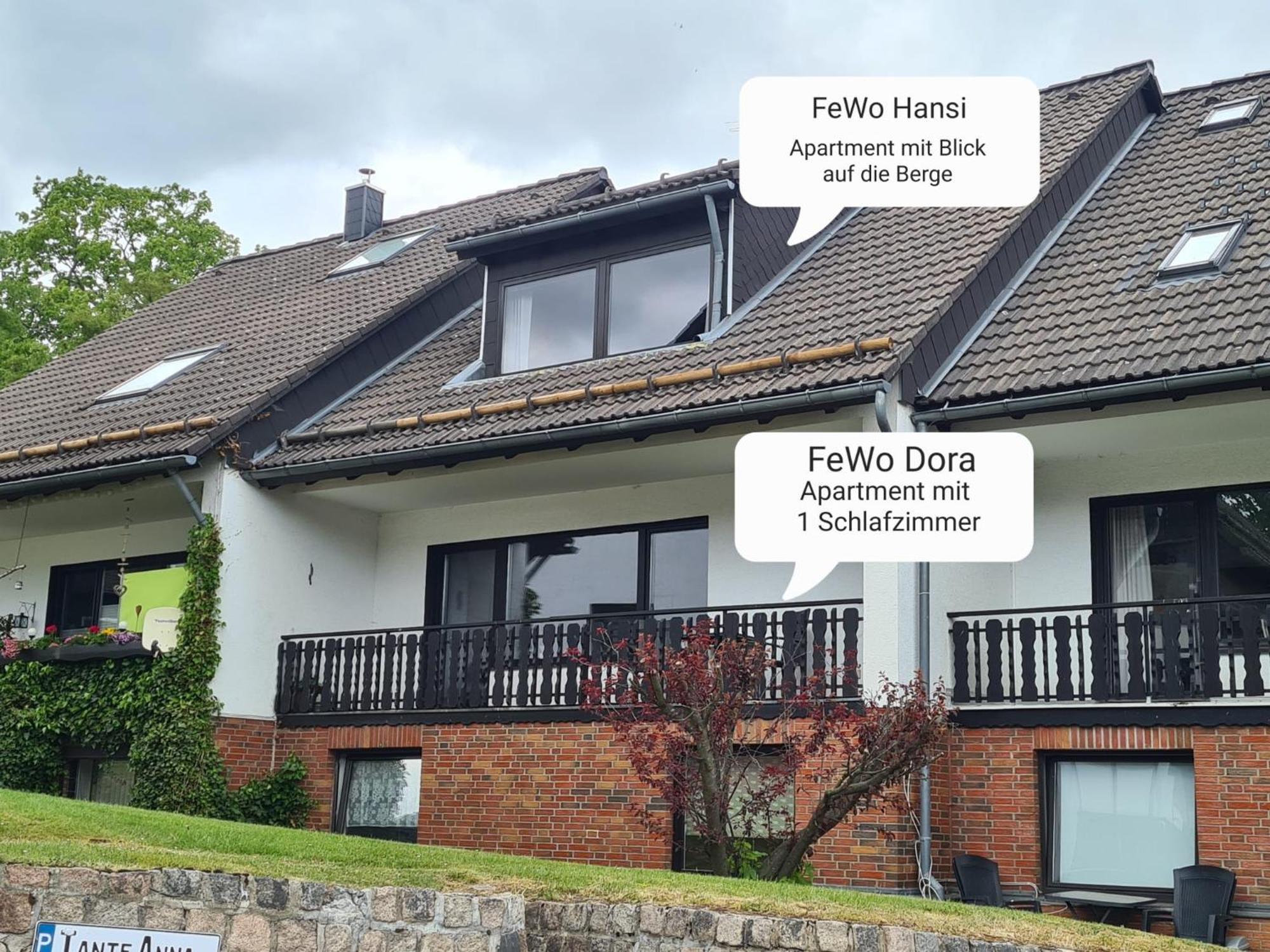 Ferienwohnungen Dora Und Hansi Braunlage Extérieur photo